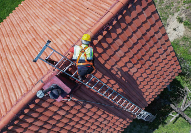 Best Roof Moss and Algae Removal  in Columbia City, IN